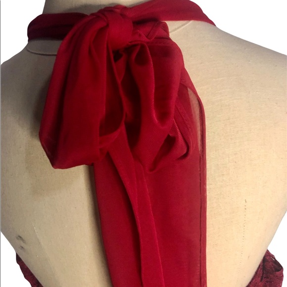 David’s Bridal Lace Candy Apple Red Valentines Color Dress Size 22 - Picture 7 of 12